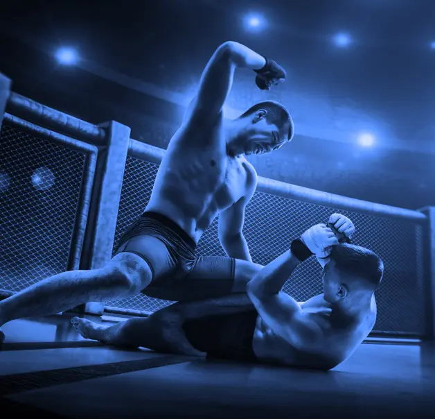MMA Betting Guide